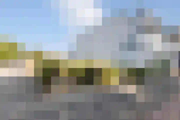 Zuid-Oostsingel 31 Bergen op Zoom thumbnail 28