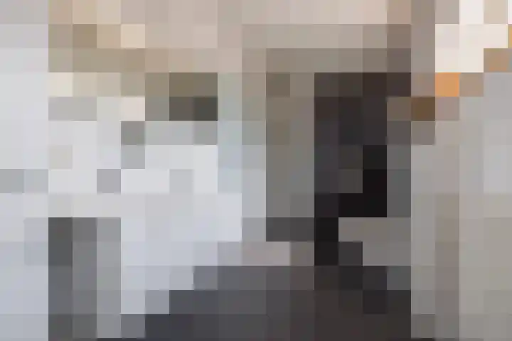 Zuid-Oostwal 4 Gennep thumbnail 4