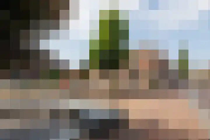 Zuid-Oostwal 4 Gennep thumbnail 66