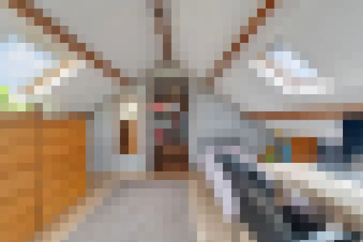 Zuid Parallelweg 39 Wierden thumbnail 28