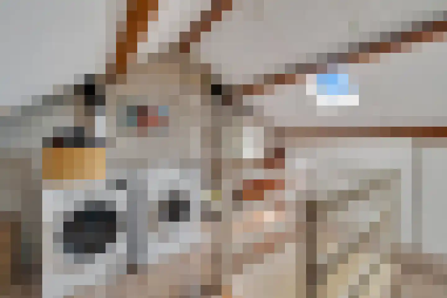 Zuid Parallelweg 39 Wierden thumbnail 31