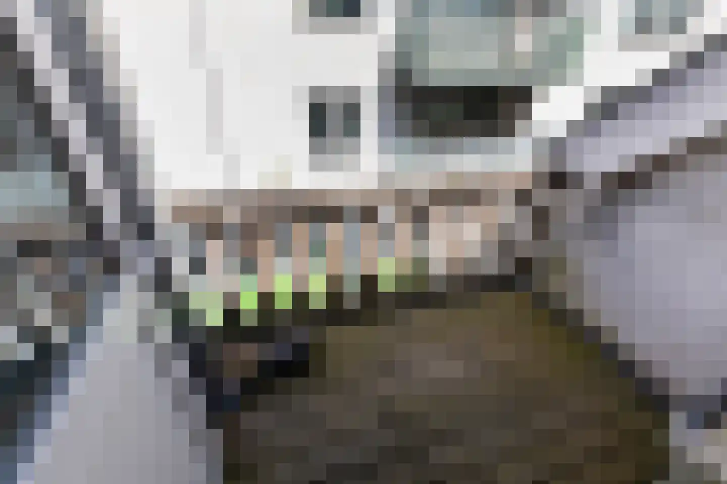 Zuid-Peterstraat 2 2 Arnhem thumbnail 22