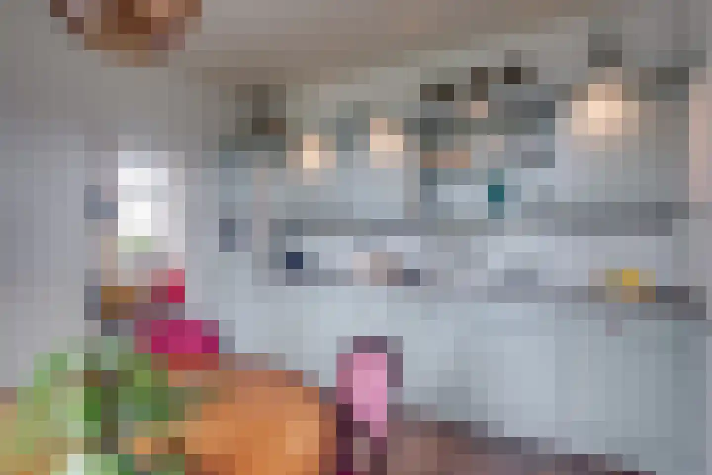 Zuid Rekkenseweg 3 Rekken thumbnail 14