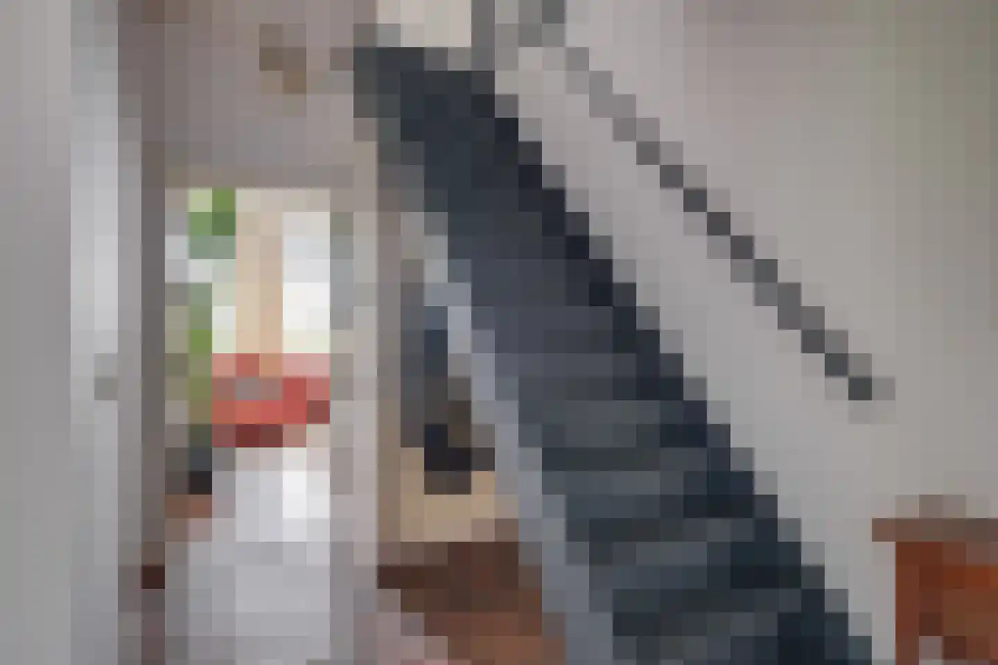 Zuid Rekkenseweg 3 Rekken thumbnail 18