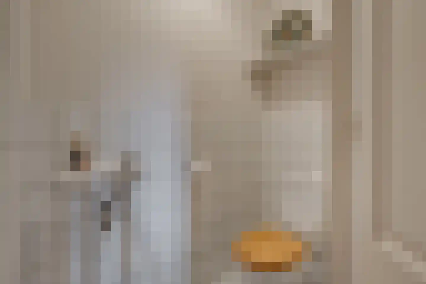 Zuid Rekkenseweg 3 Rekken thumbnail 20
