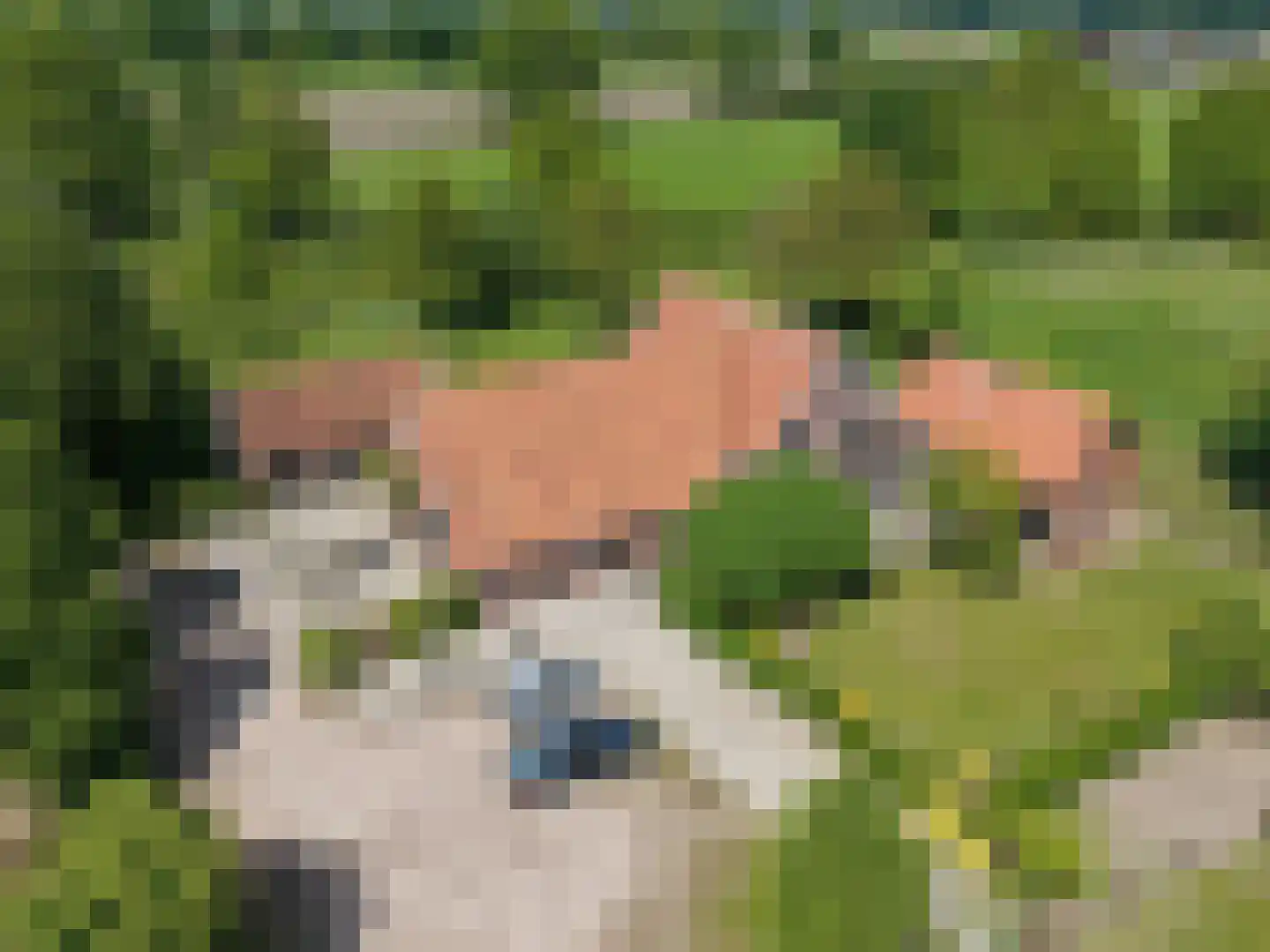 Zuid Rekkenseweg 3 Rekken thumbnail 29