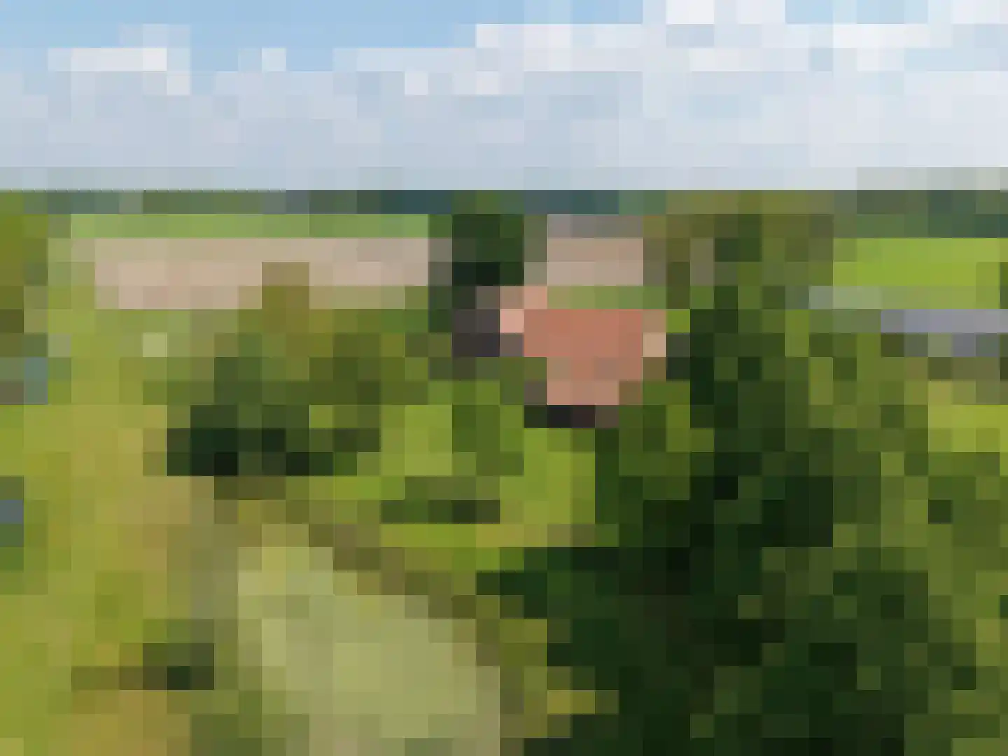Zuid Rekkenseweg 3 Rekken foto 3