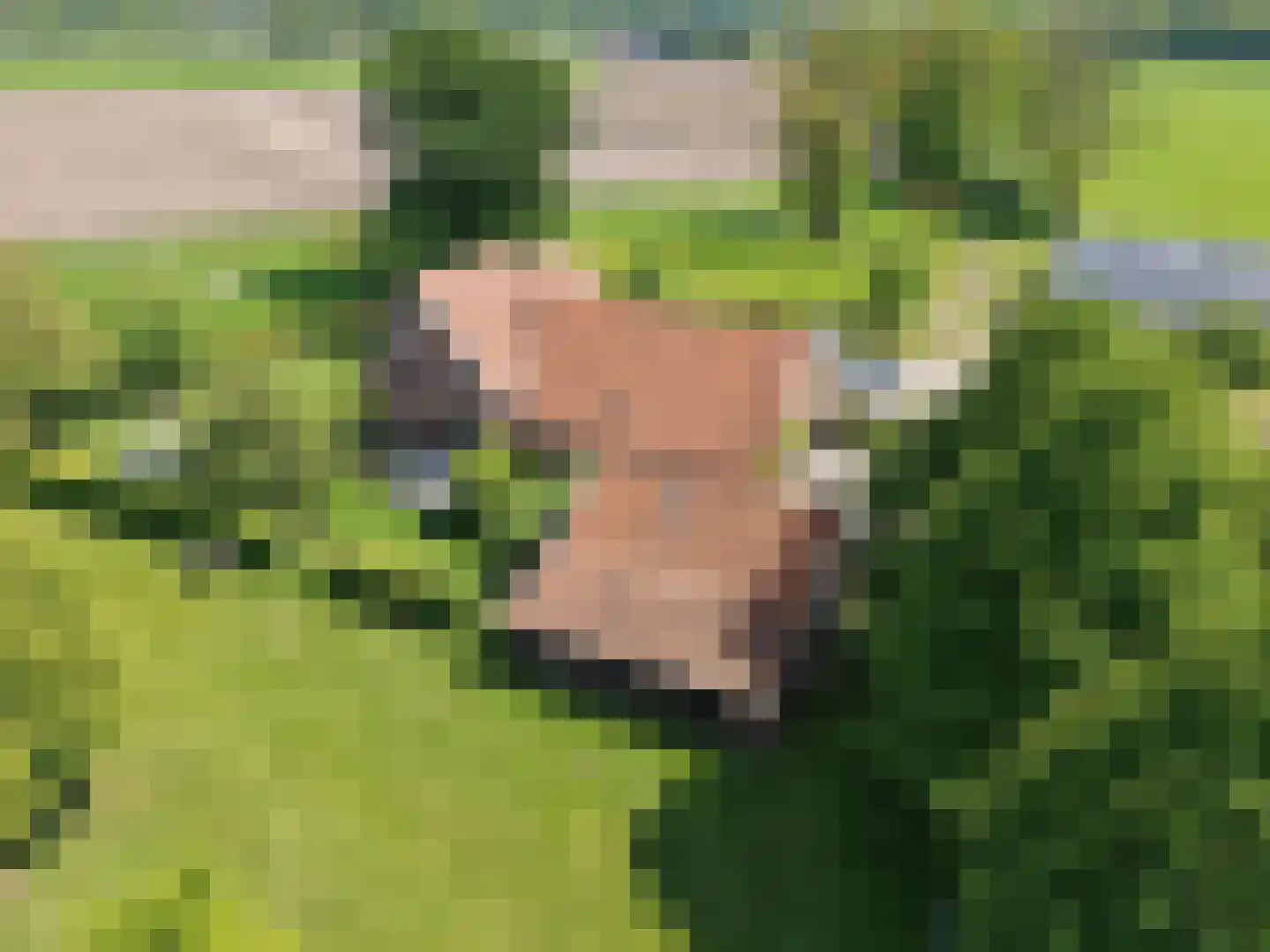 Zuid Rekkenseweg 3 Rekken thumbnail 4