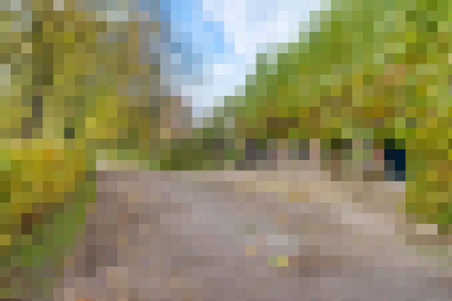 Zuid Rekkenseweg 3 Rekken thumbnail 40