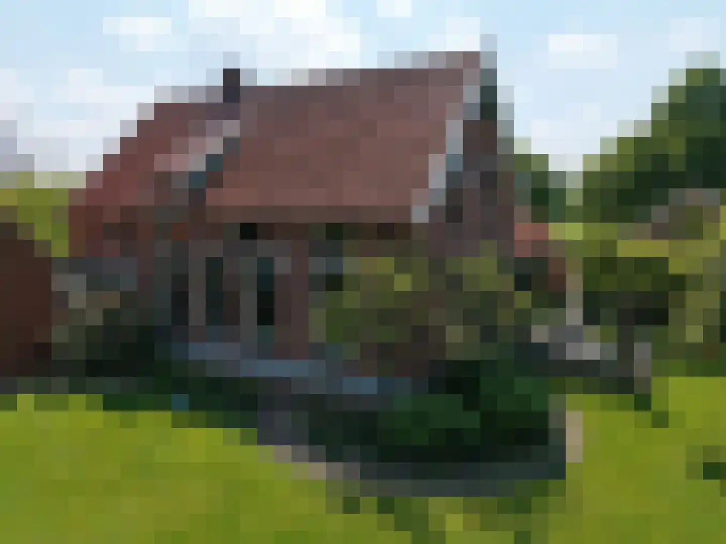 Zuid Rekkenseweg 3 Rekken thumbnail 6