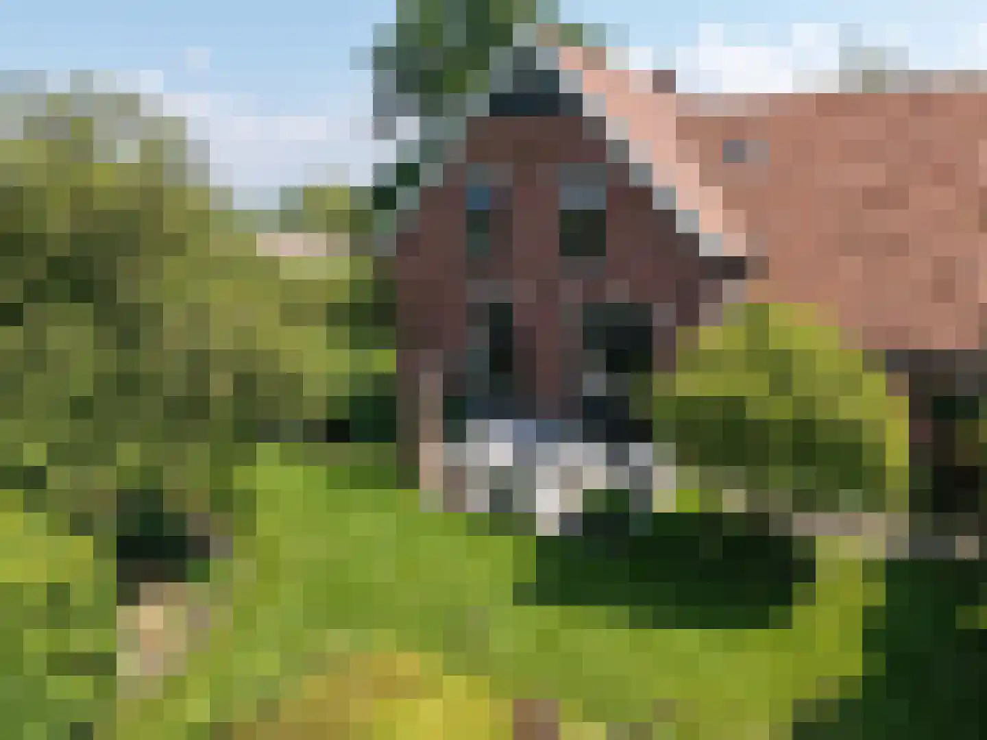 Zuid Rekkenseweg 3 Rekken thumbnail 7