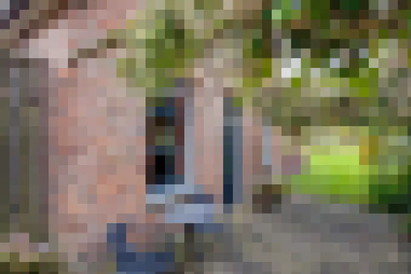 Zuid Rekkenseweg Rekken thumbnail 12