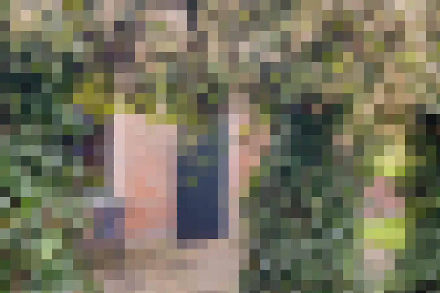 Zuid Rekkenseweg Rekken thumbnail 14