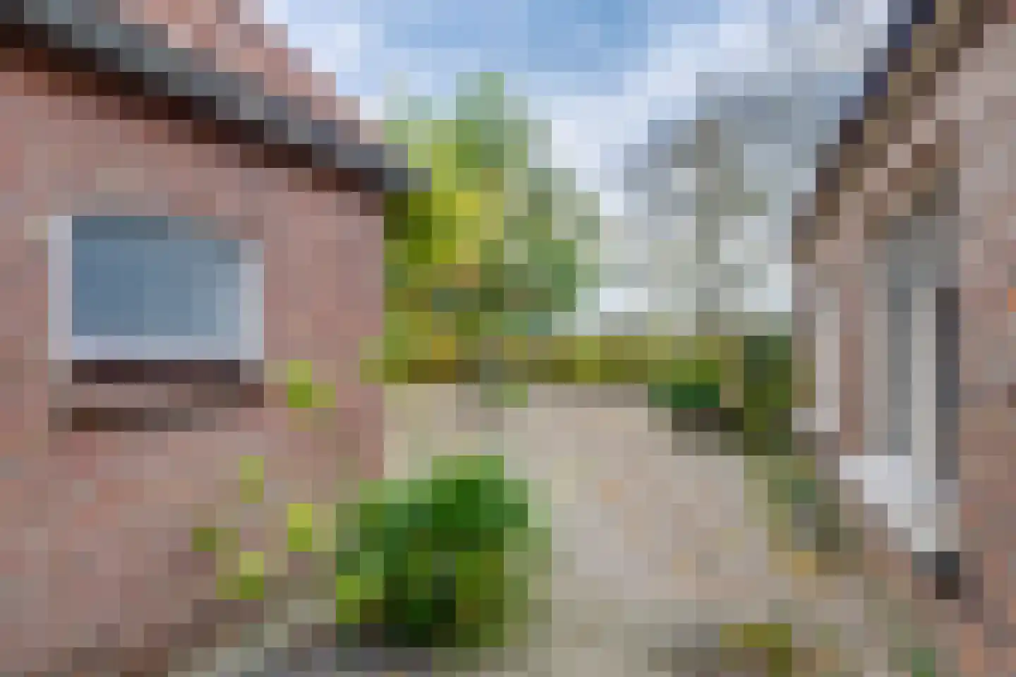 Zuid Rekkenseweg Rekken thumbnail 20