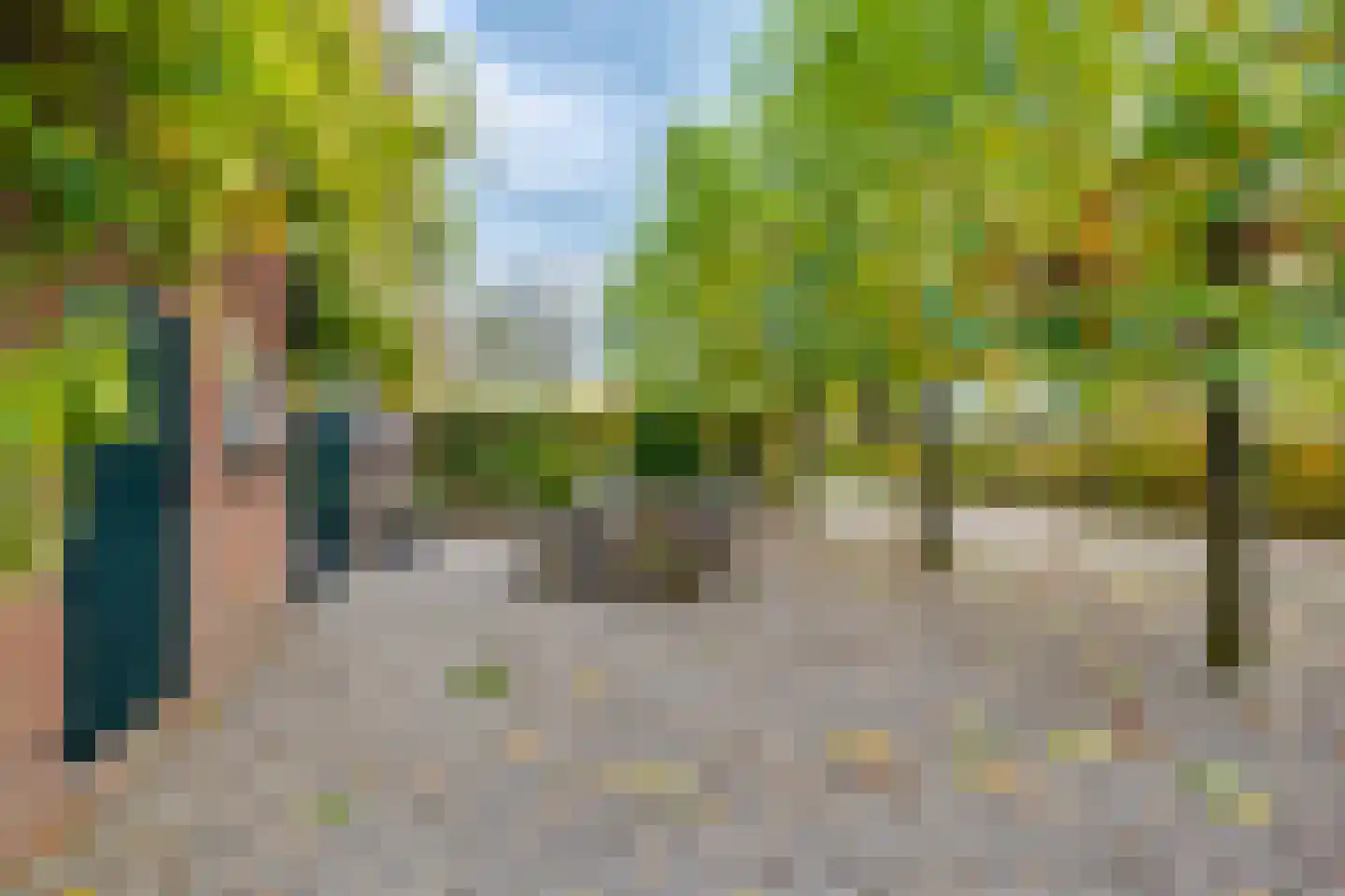 Zuid Rekkenseweg Rekken thumbnail 22