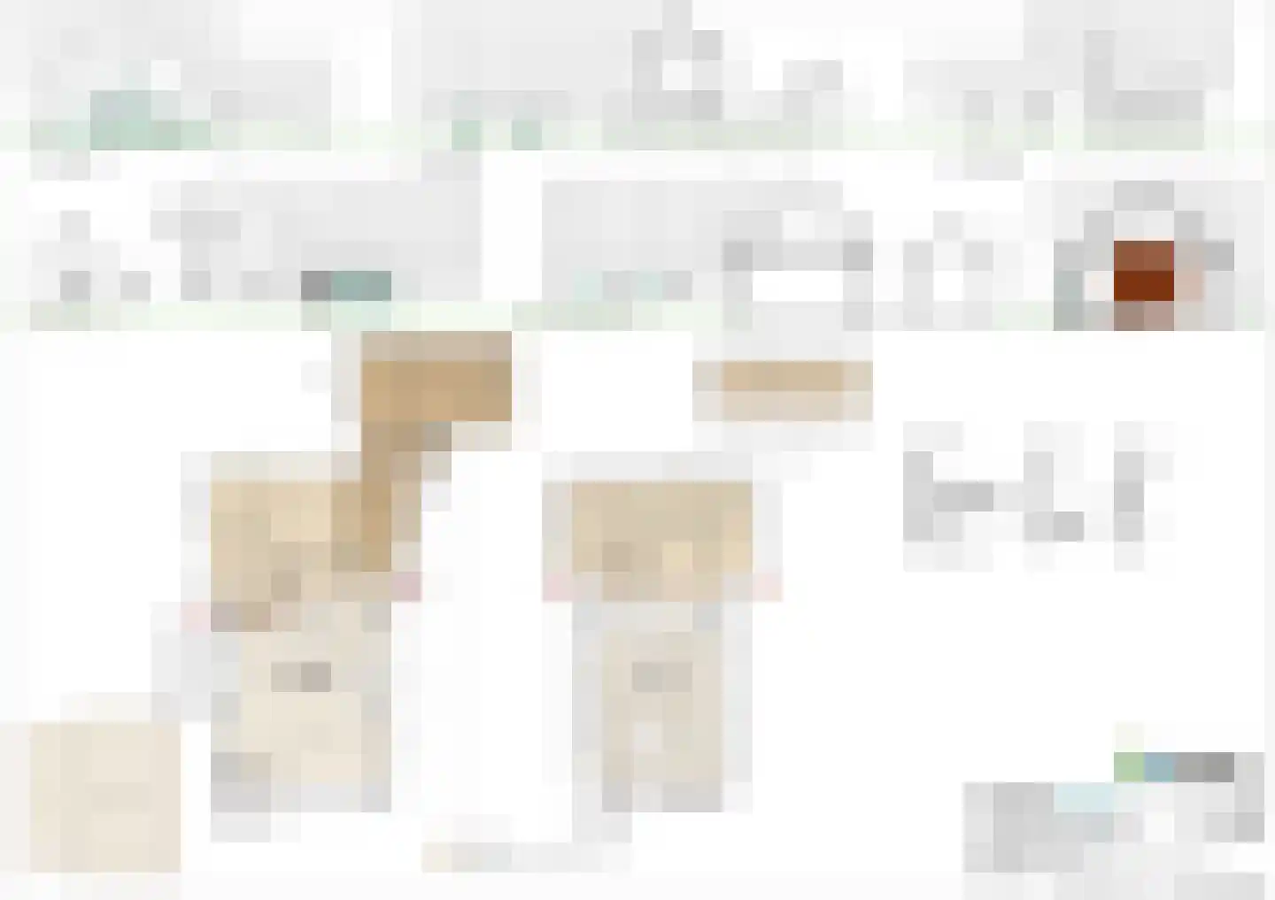 Zuid Rekkenseweg Rekken thumbnail 29