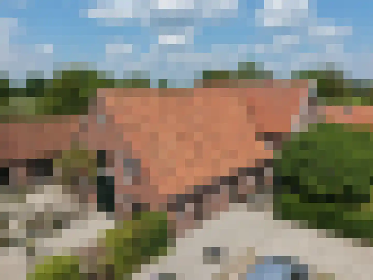 Zuid Rekkenseweg Rekken foto 3
