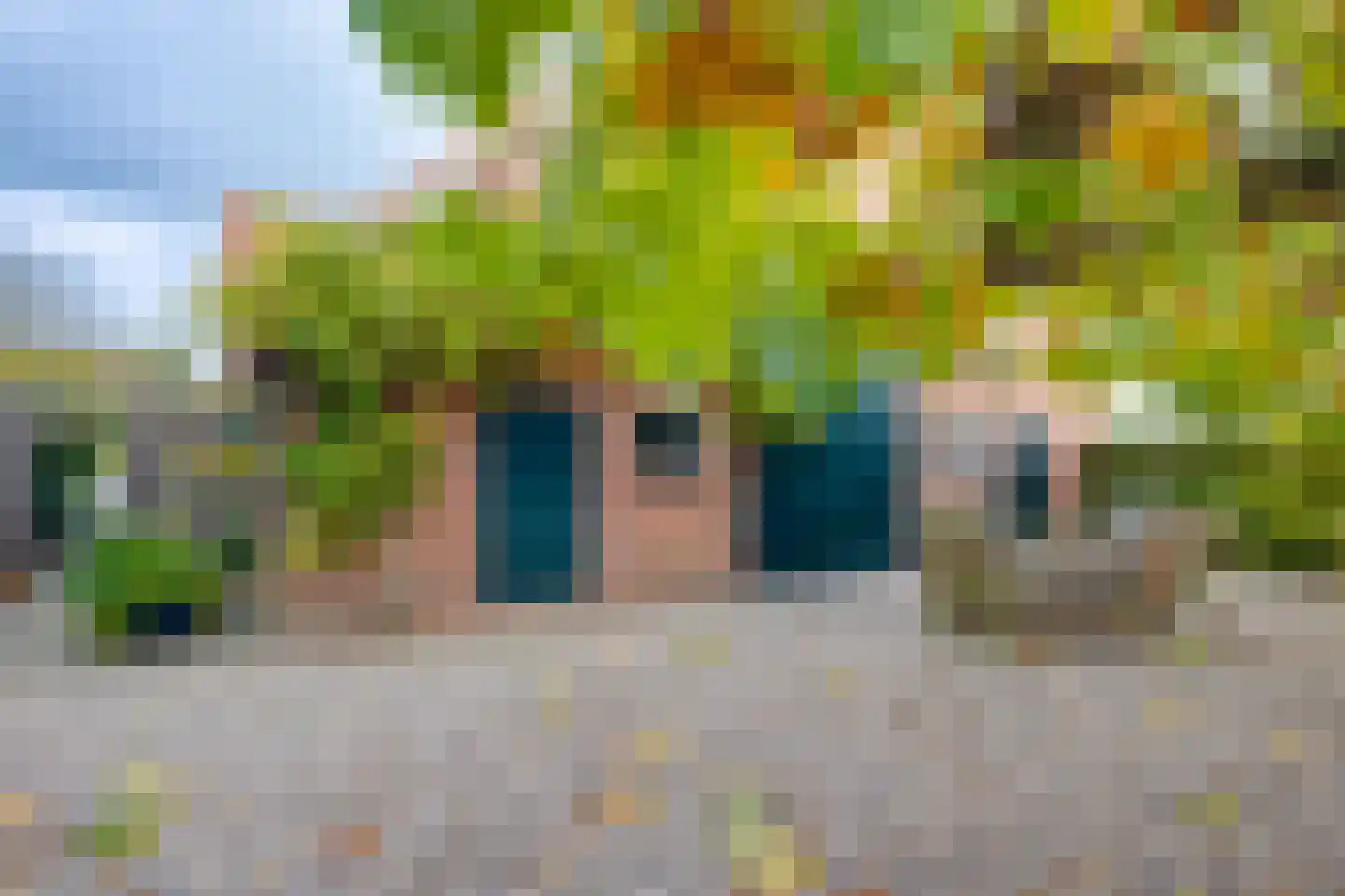 Zuid Rekkenseweg Rekken thumbnail 7