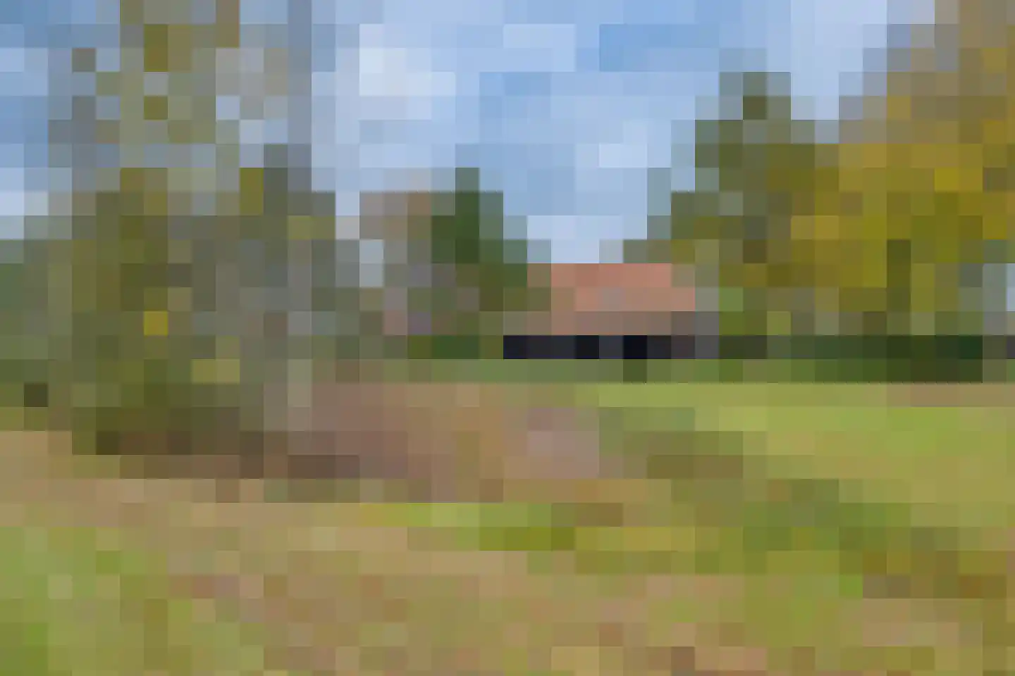 Zuid Rekkenseweg Rekken thumbnail 9