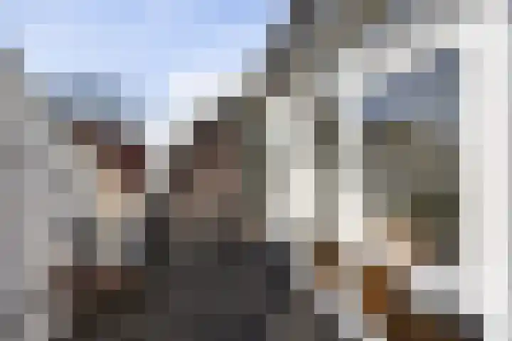 Zuid Rundersteeg 7 B Leiden thumbnail 23