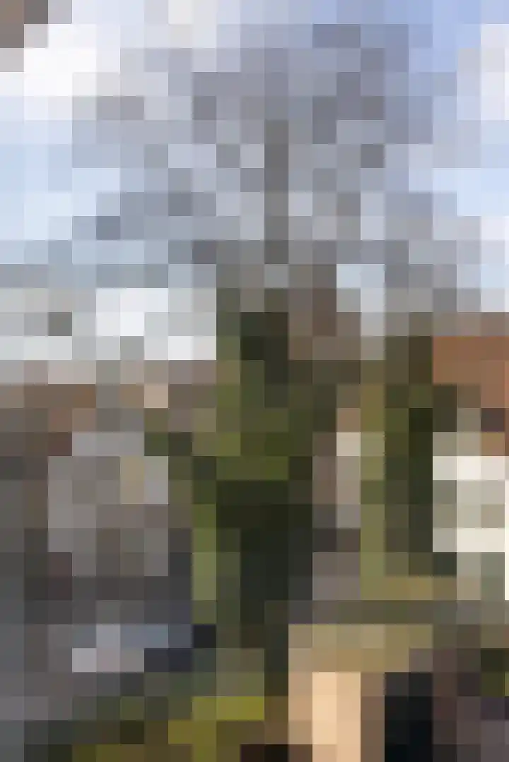 Zuid Rundersteeg 7 B Leiden thumbnail 29