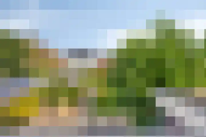 Zuid-Spierdijkerweg 21 De Goorn thumbnail 25