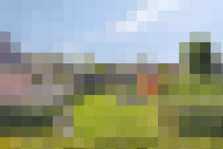 Zuid-Spierdijkerweg 21 De Goorn thumbnail 27