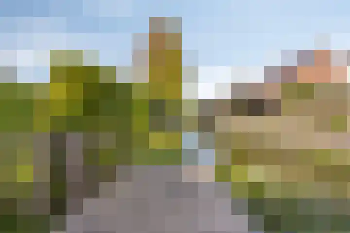 Zuid-Spierdijkerweg 21 De Goorn thumbnail 34
