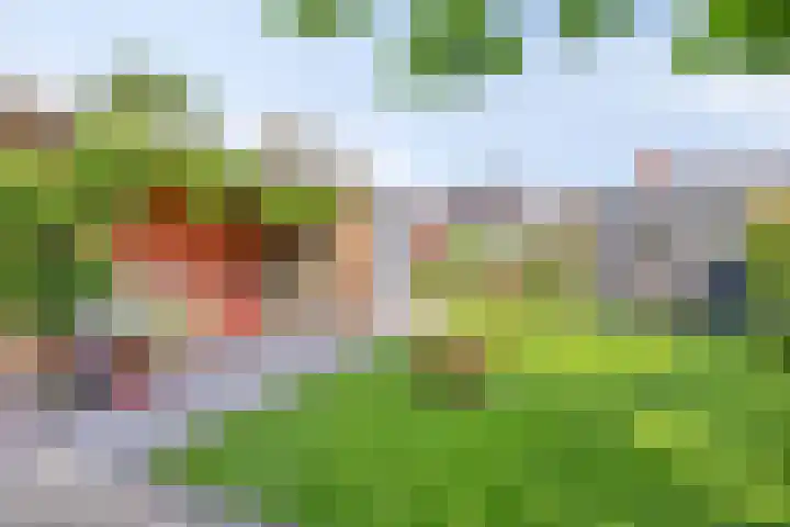 Zuid-Spierdijkerweg 21 De Goorn thumbnail 6