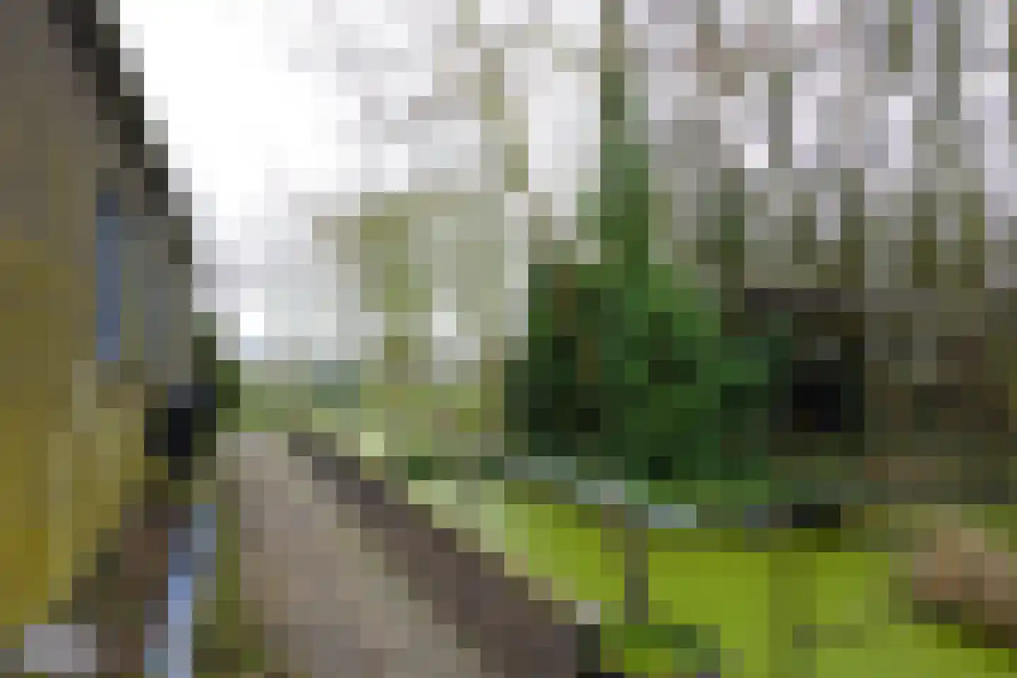 Zuid-Spierdijkerweg 39 De Goorn thumbnail 26