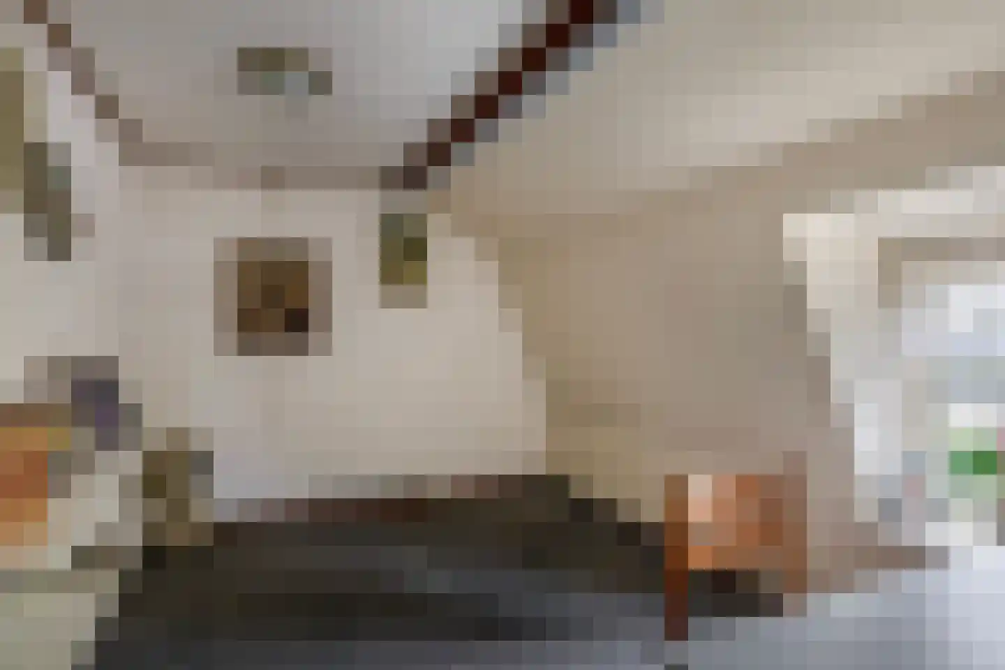Zuid Spuidijk 29 Dirksland thumbnail 13