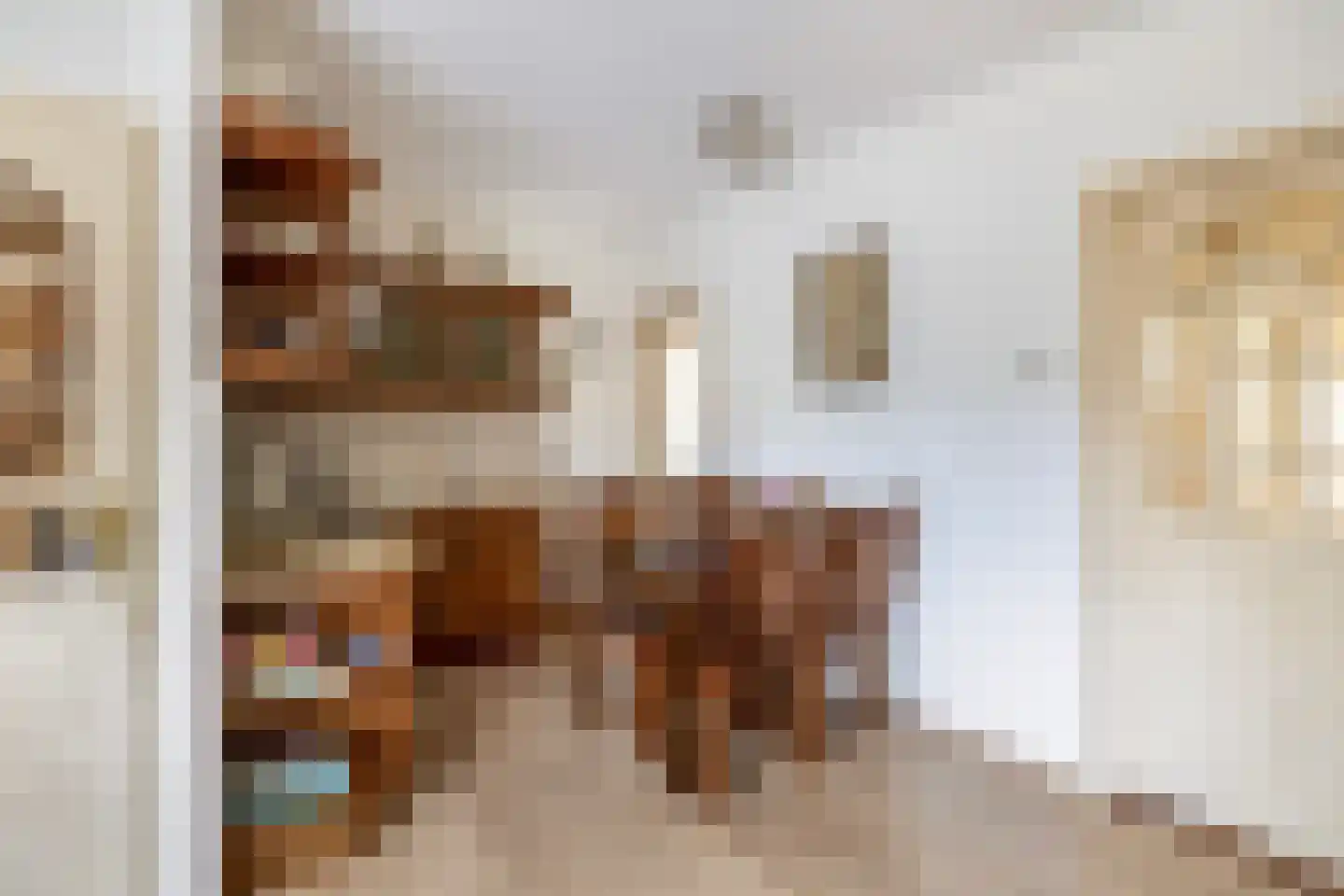 Zuid Spuidijk 29 Dirksland thumbnail 18
