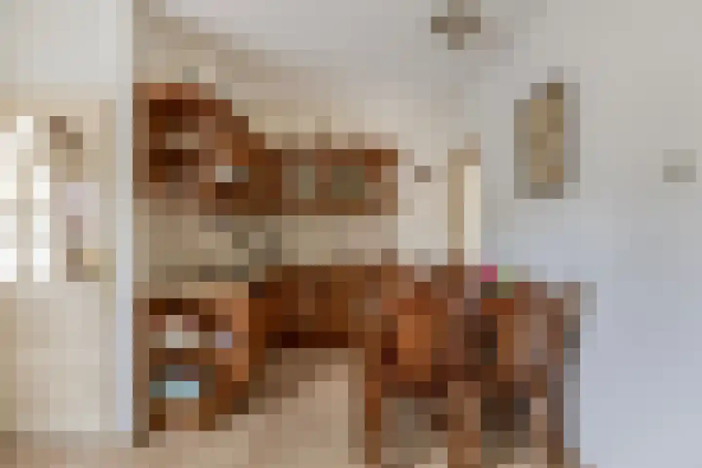 Zuid Spuidijk 29 Dirksland thumbnail 8