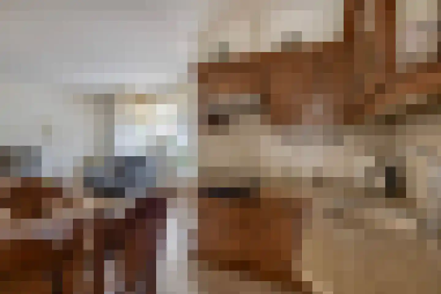 Zuid Spuidijk 29 Dirksland thumbnail 9
