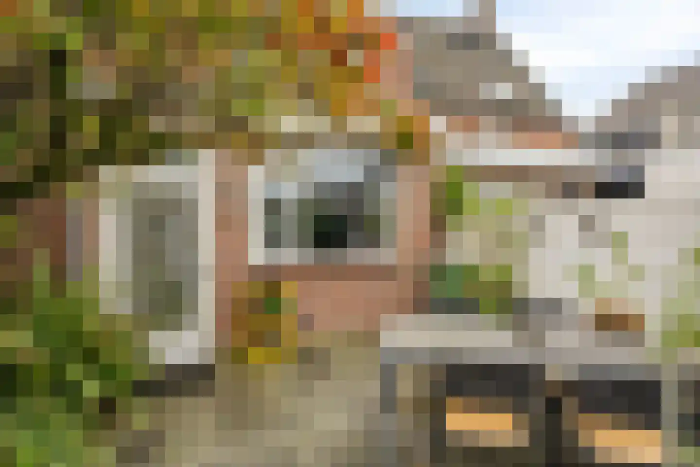 Zuid-Westsingel 188 Bergen op Zoom thumbnail 29