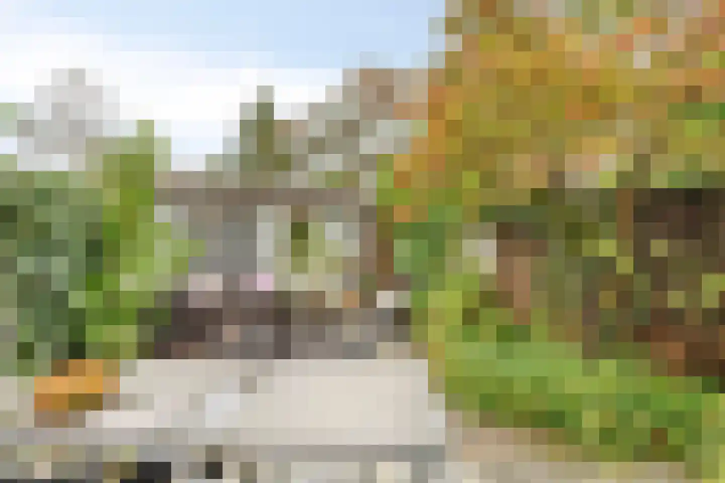 Zuid-Westsingel 188 Bergen op Zoom thumbnail 31
