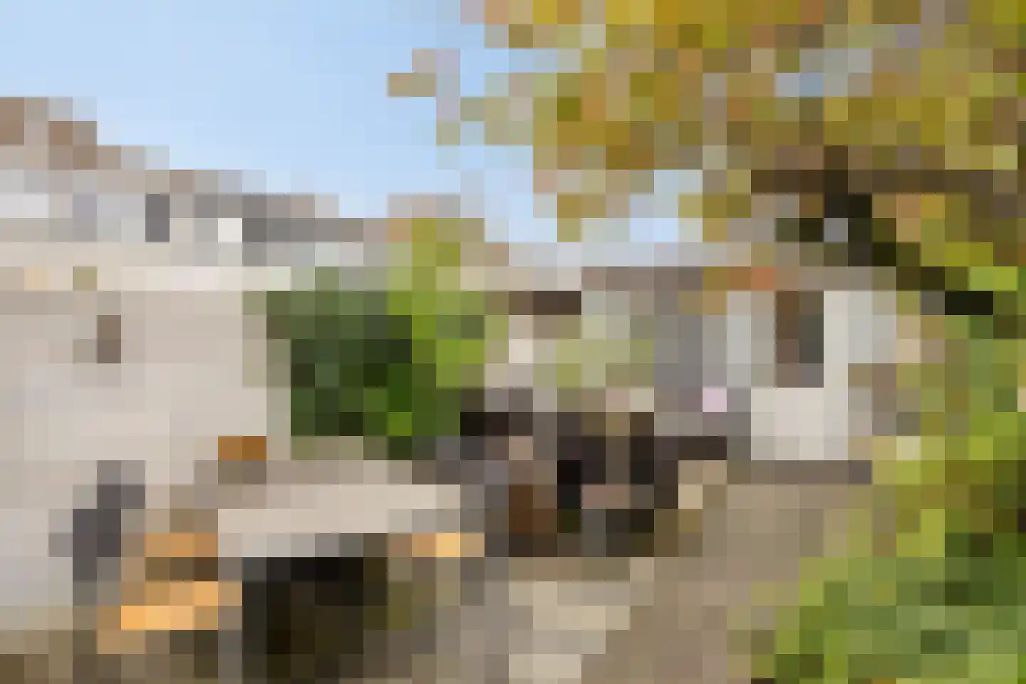 Zuid-Westsingel 188 Bergen op Zoom thumbnail 32