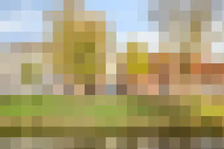 Zuid Willemsvaart 534 A 's-Hertogenbosch thumbnail 26