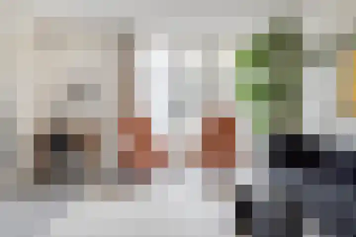 Zuid Zijperweg 20 Wieringerwaard thumbnail 12