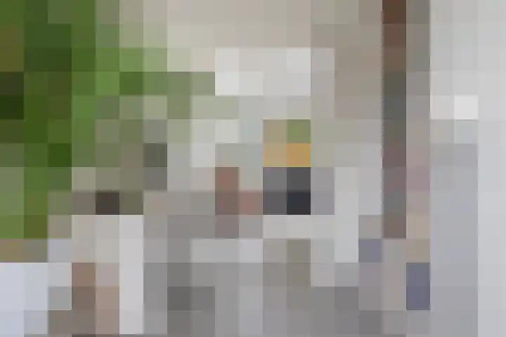 Zuid Zijperweg 20 Wieringerwaard thumbnail 14
