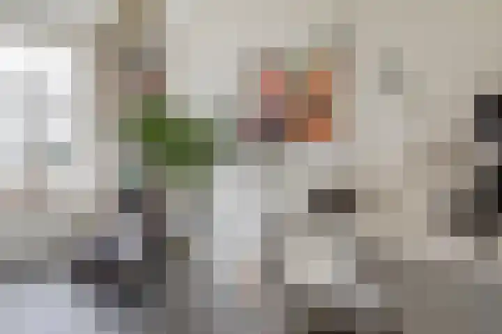 Zuid Zijperweg 20 Wieringerwaard thumbnail 15