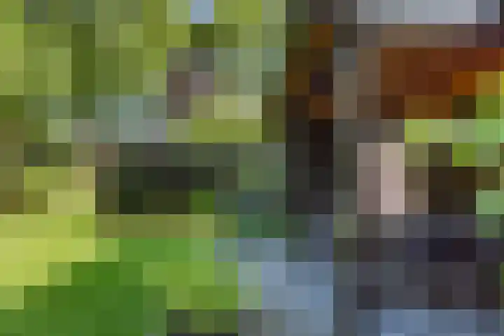 Zuid Zijperweg 20 Wieringerwaard thumbnail 33