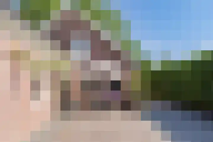 Zuid Zijperweg 20 Wieringerwaard thumbnail 34