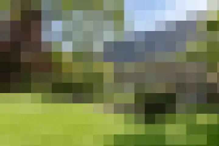 Zuid Zijperweg 20 Wieringerwaard thumbnail 35