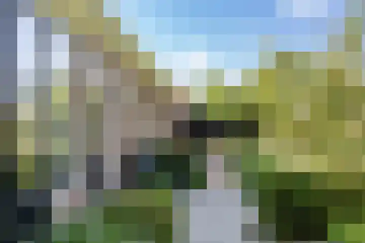 Zuid Zijperweg 20 Wieringerwaard thumbnail 36