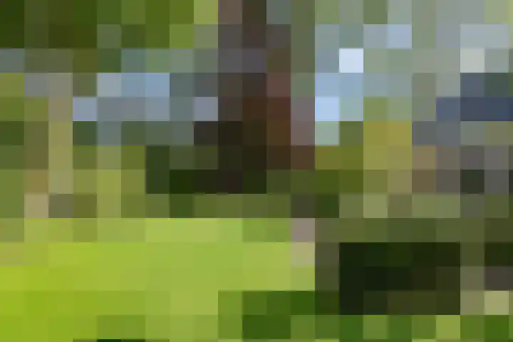 Zuid Zijperweg 20 Wieringerwaard thumbnail 39