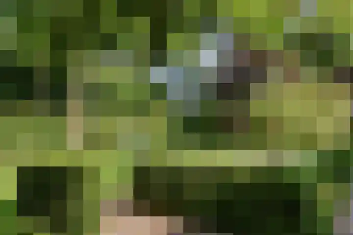 Zuid Zijperweg 20 Wieringerwaard thumbnail 40