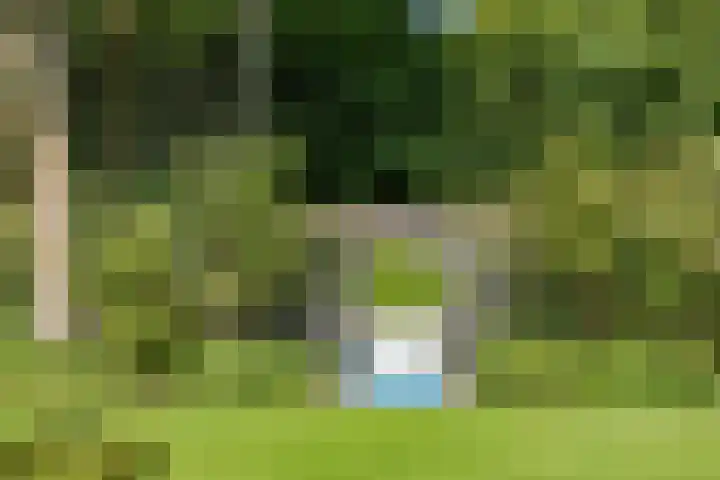 Zuid Zijperweg 20 Wieringerwaard thumbnail 41