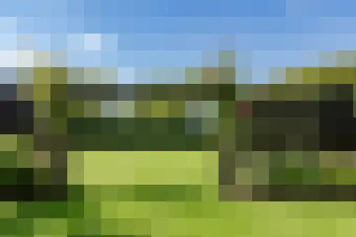 Zuid Zijperweg 20 Wieringerwaard thumbnail 42