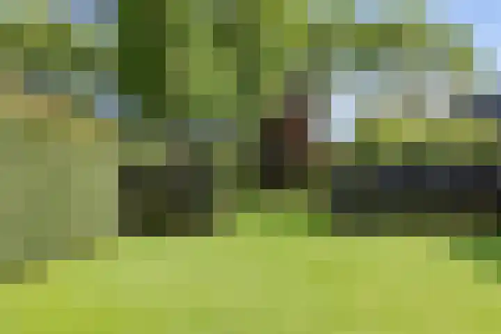 Zuid Zijperweg 20 Wieringerwaard thumbnail 43